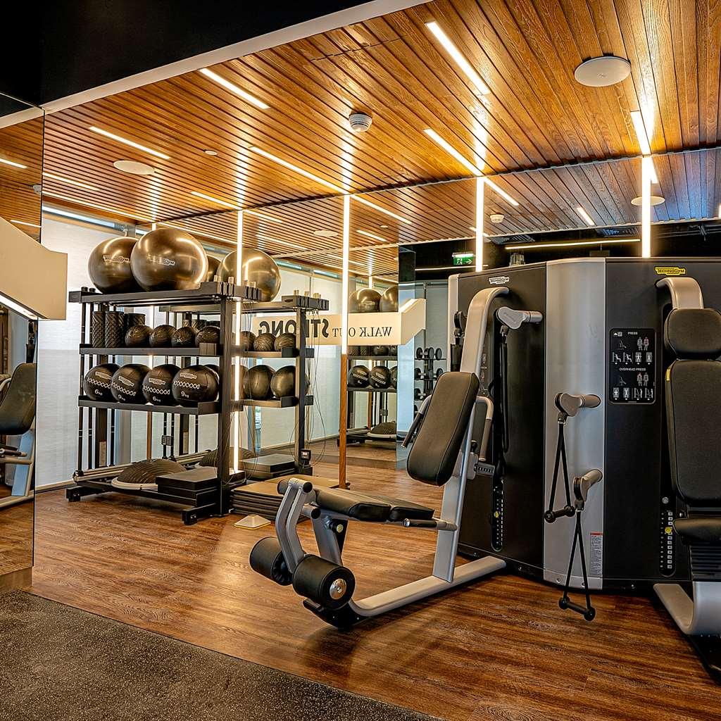 מלון The First Collection Dubai Business Bay מתקנים תמונה Gym interior design